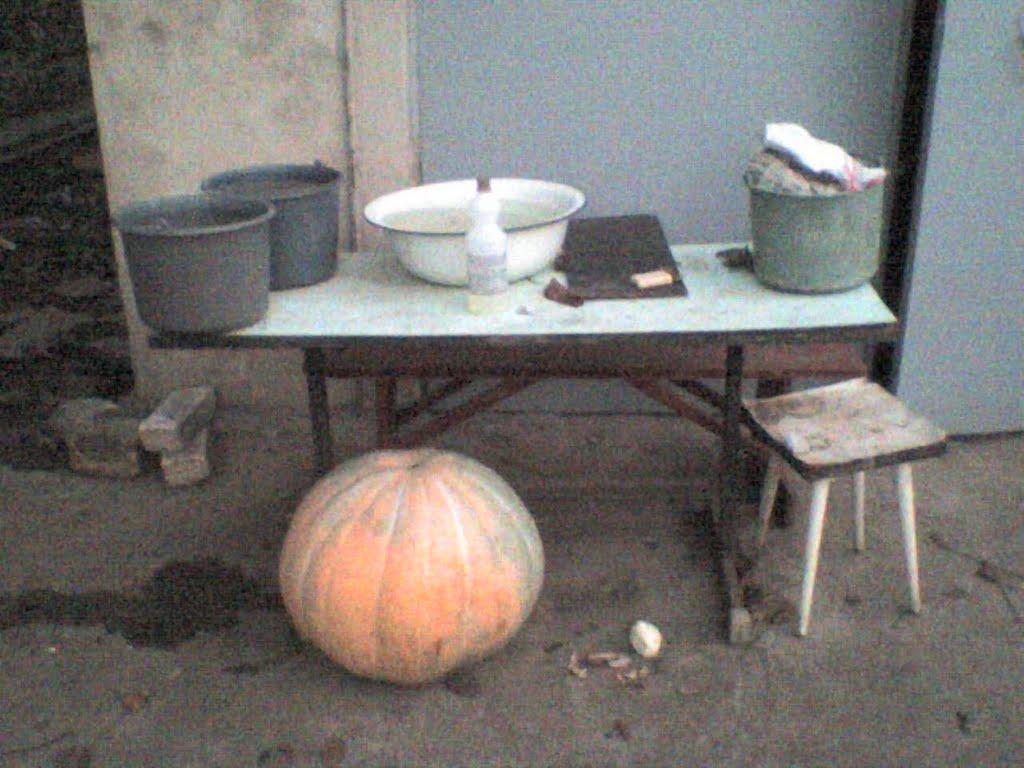 Шостакове з panoramio.com