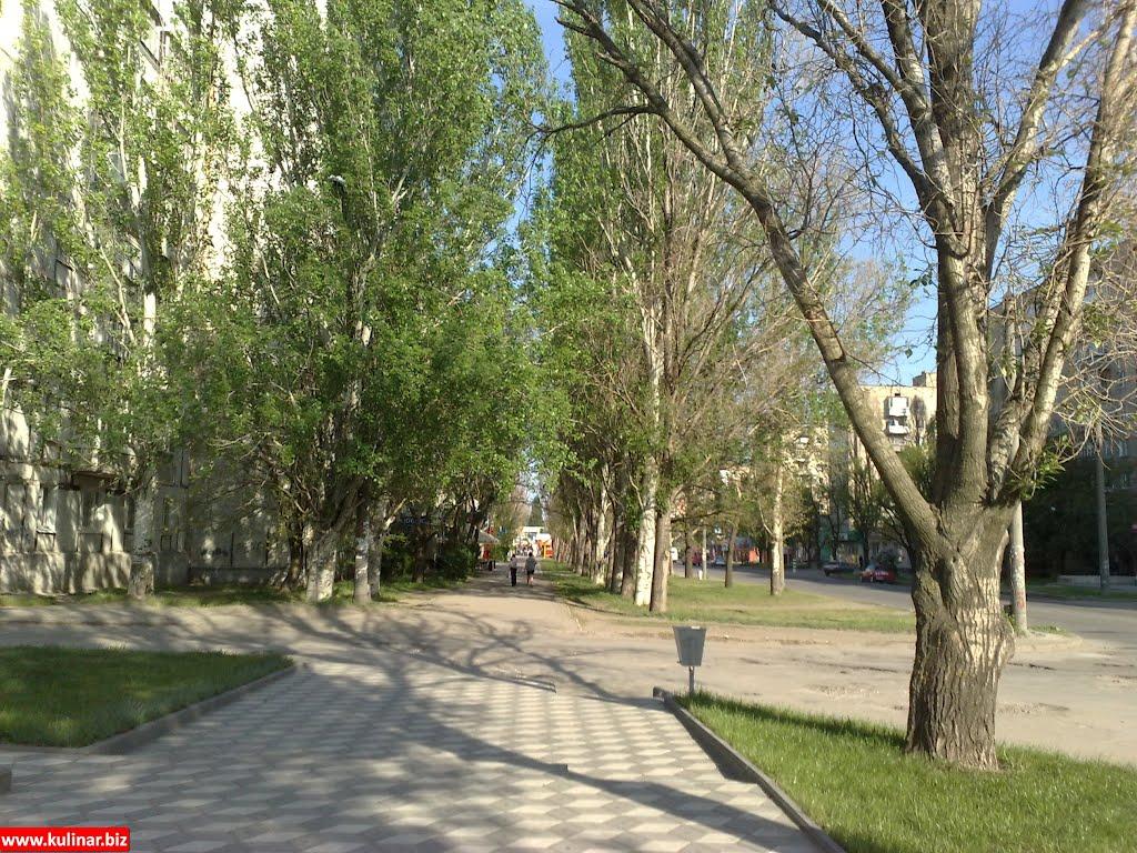 Мелітополь з panoramio.com (ч.2) - Мелитополь