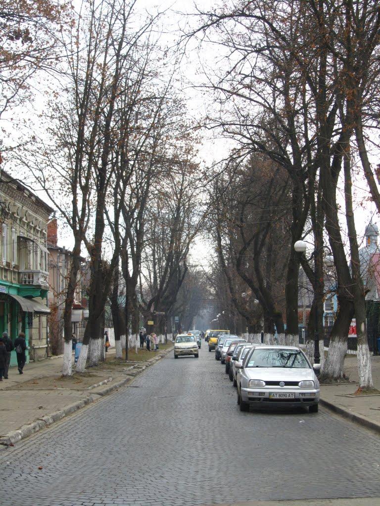 Коломия з panoramio.com - Коломыя
