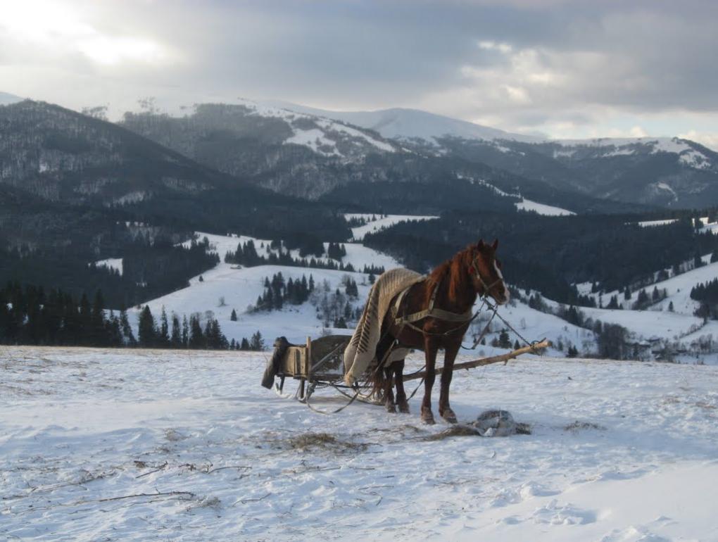 Ізки з panoramio.com - Izky