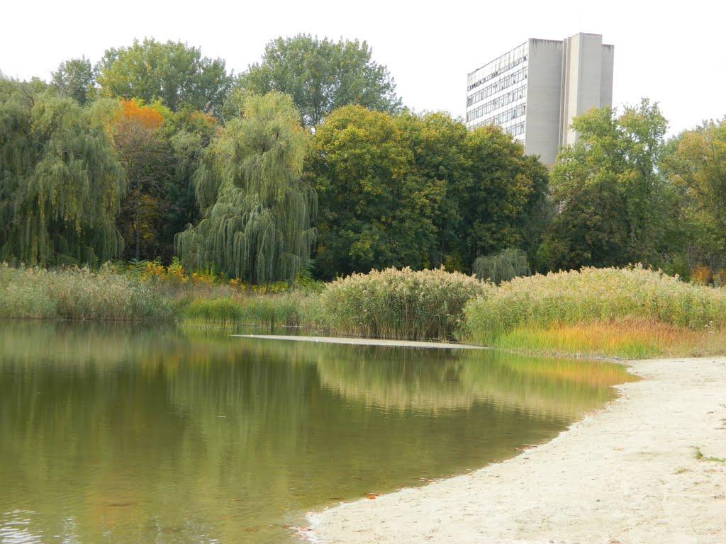 Жовті Води з panoramio.com - Желтые Воды