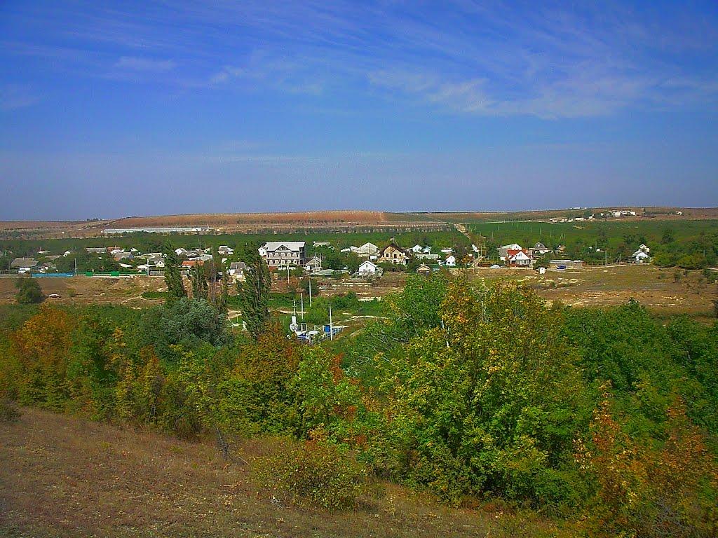 Каштани з panoramio.com - Kashtany