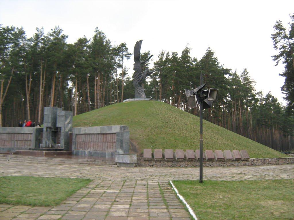 Лебедин з panoramio.com - Лебедин