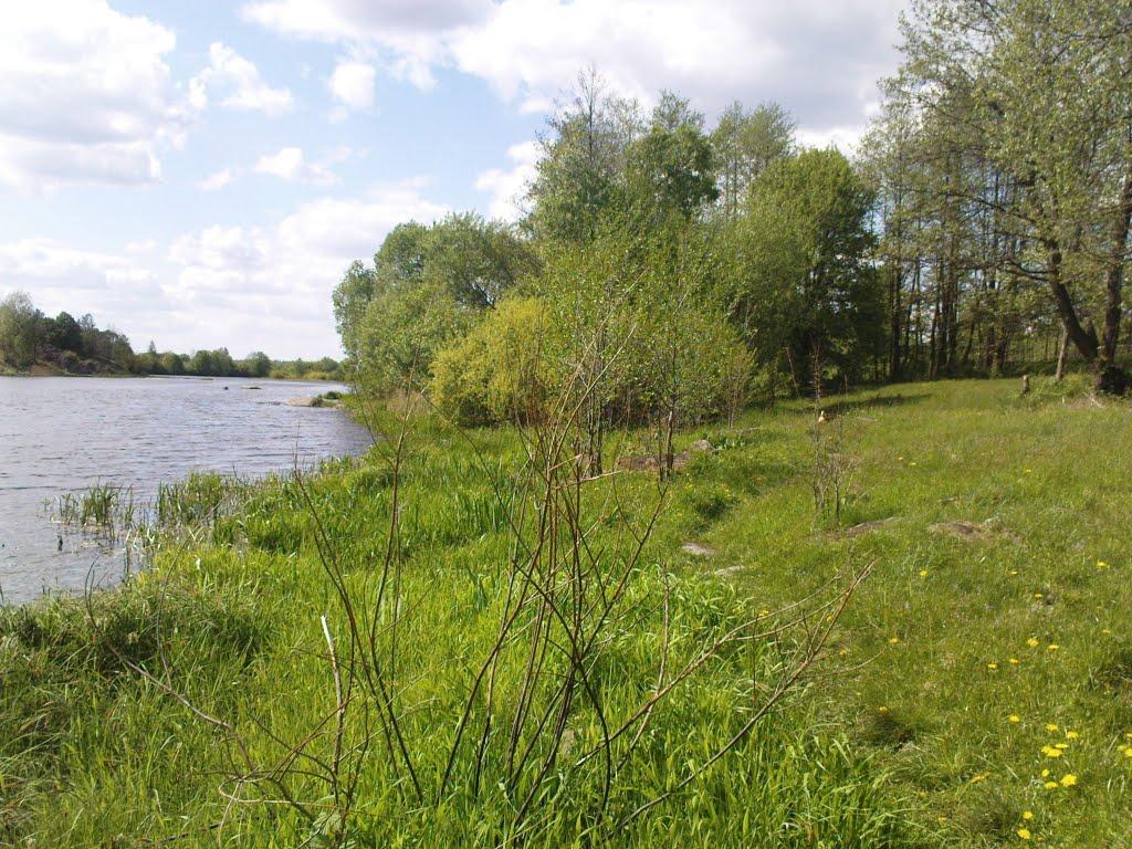 Рудня-Пошта з panoramio.com - Рудня-Пошта