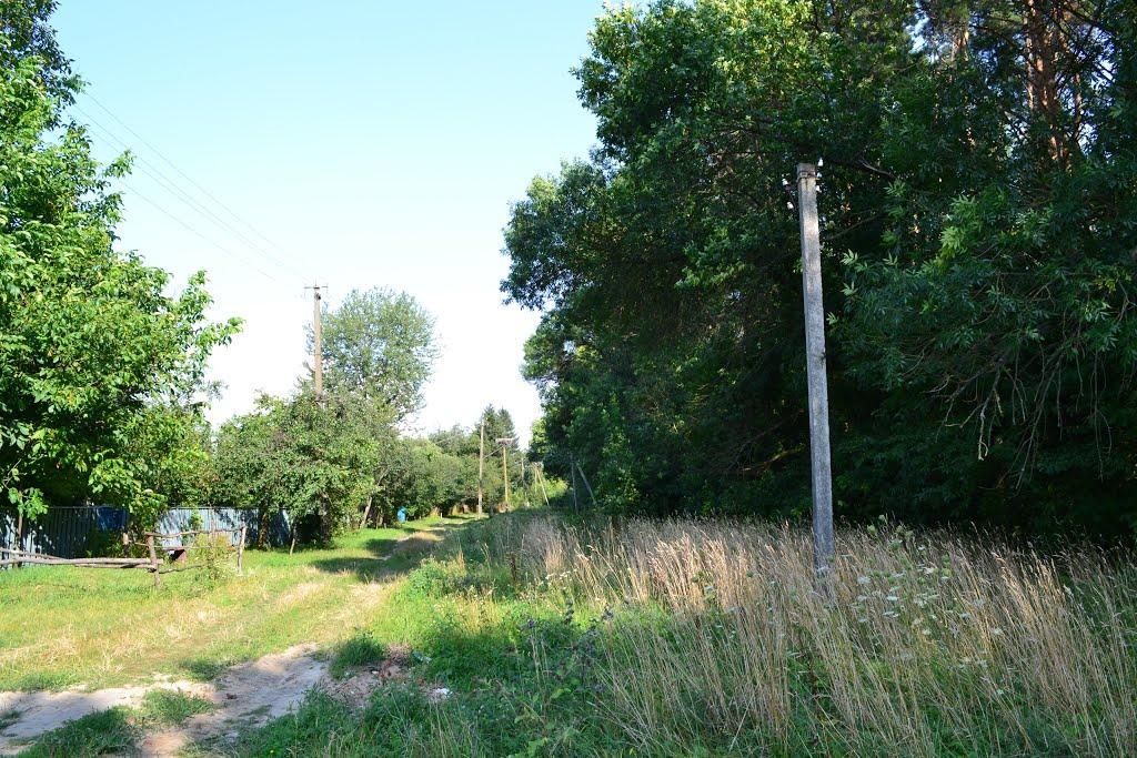 Любимівка з panoramio.com - Любимівка