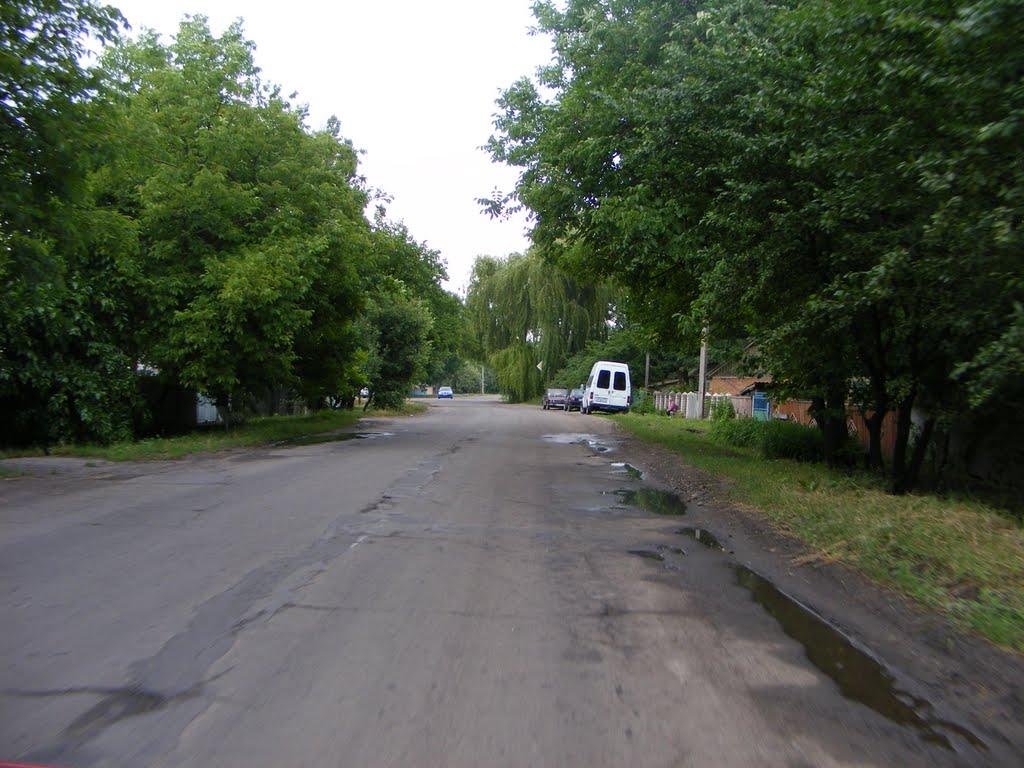 Шишаки з panoramio.com - Шишаки