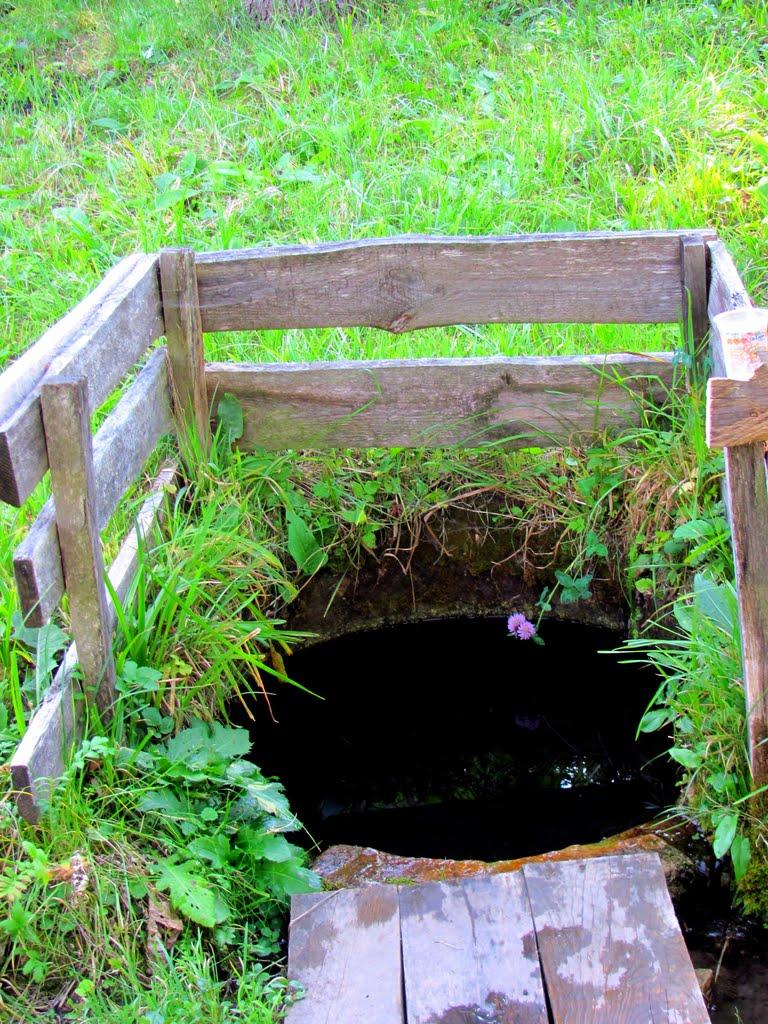Олесько з panoramio.com - Olesko