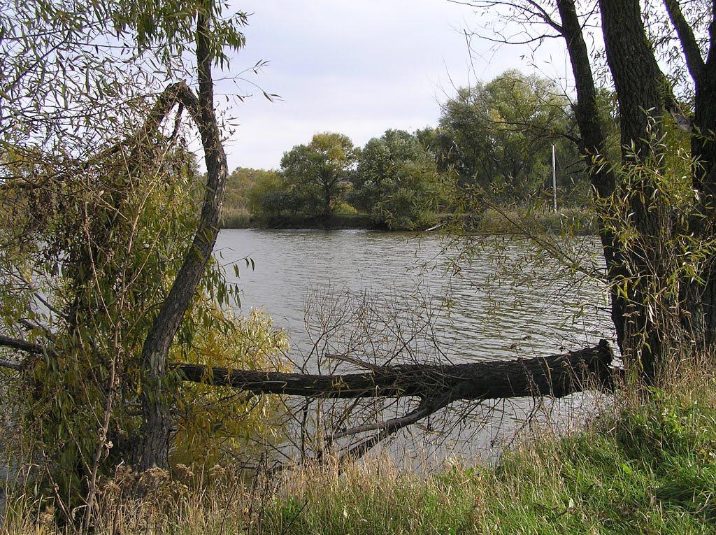 Варварівка з panoramio.com - Варваровка