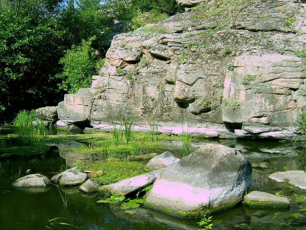 Буки з panoramio.com - Буки
