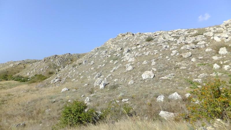 Борисівка з panoramio.com - Борисівка