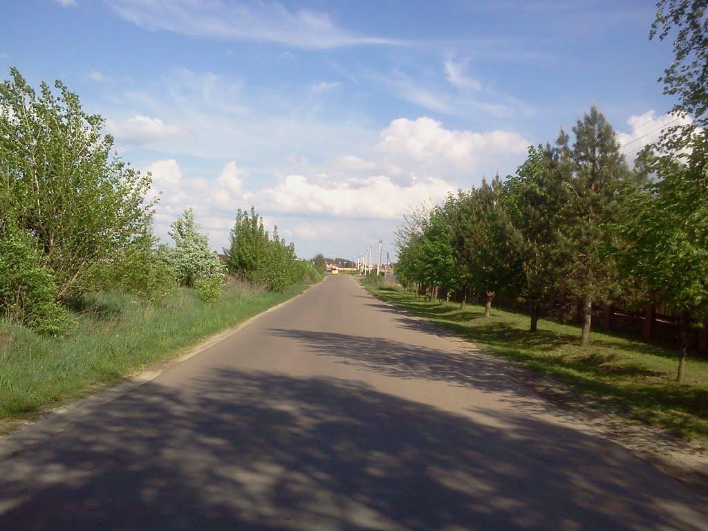 Тарасове з panoramio.com - Тарасове