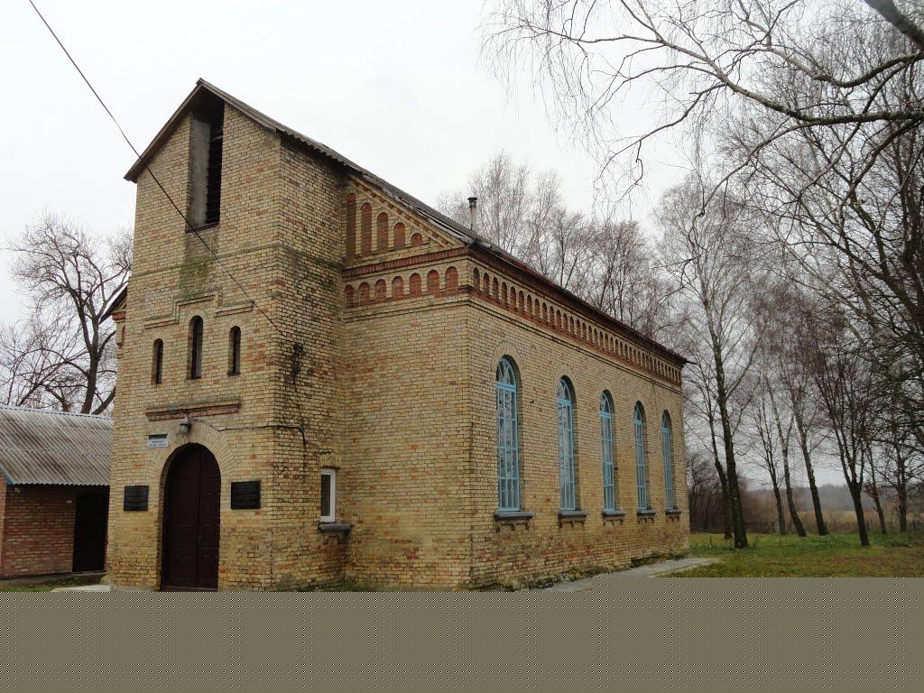 Триліси з panoramio.com - Триліси