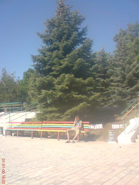 Широкине з panoramio.com - Широкине