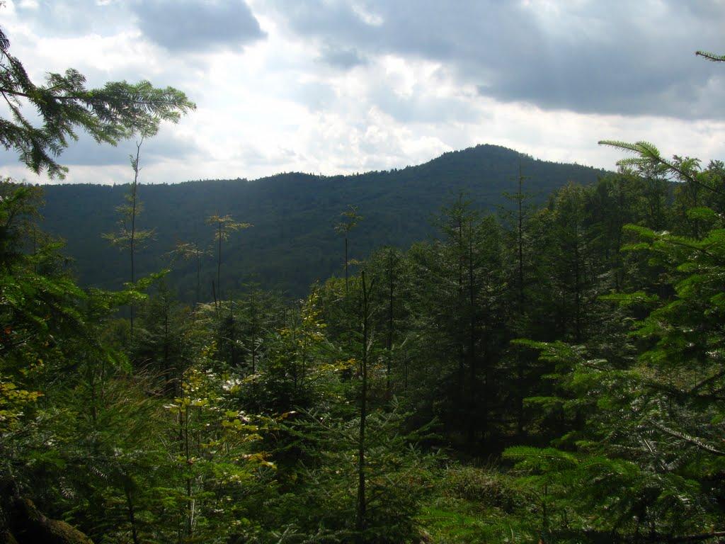 Міжгір'я з panoramio.com - Міжгір'я