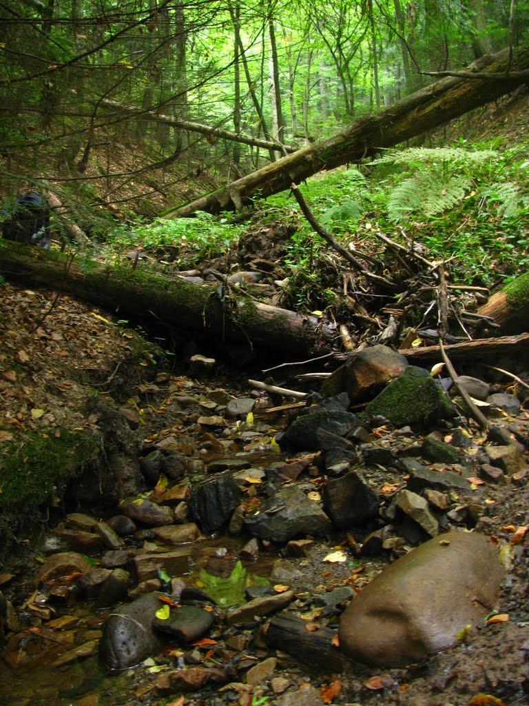 Міжгір'я з panoramio.com - Міжгір'я