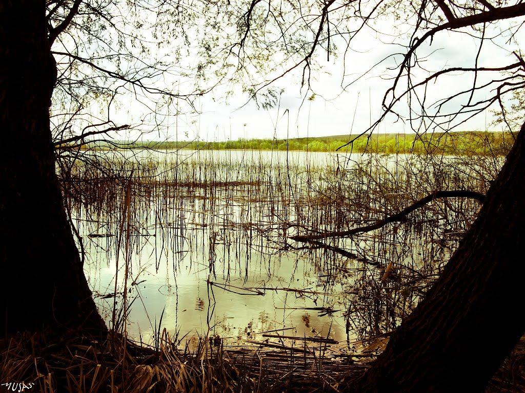 Старий Салтів з panoramio.com - Старый Салтов