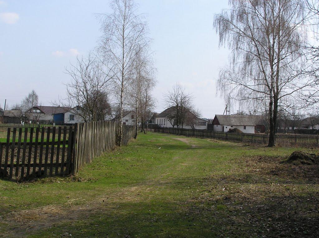 Горщик з panoramio.com - Горщик