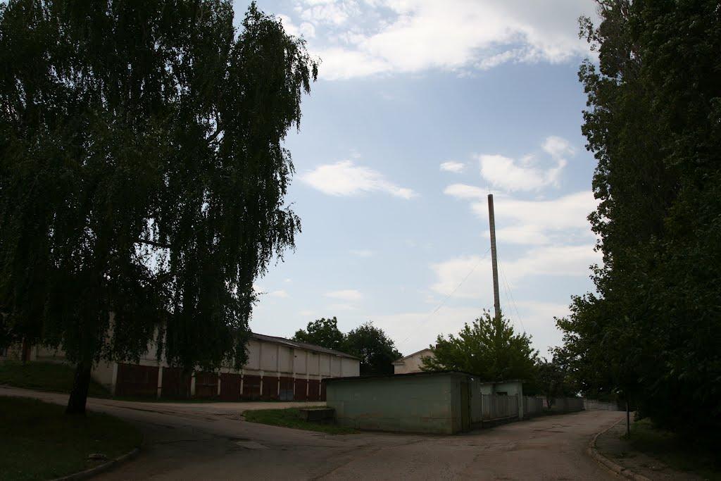 Научний з panoramio.com - Научный