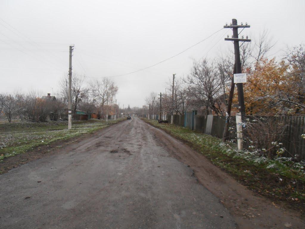 Черемушна з panoramio.com - Черемушна