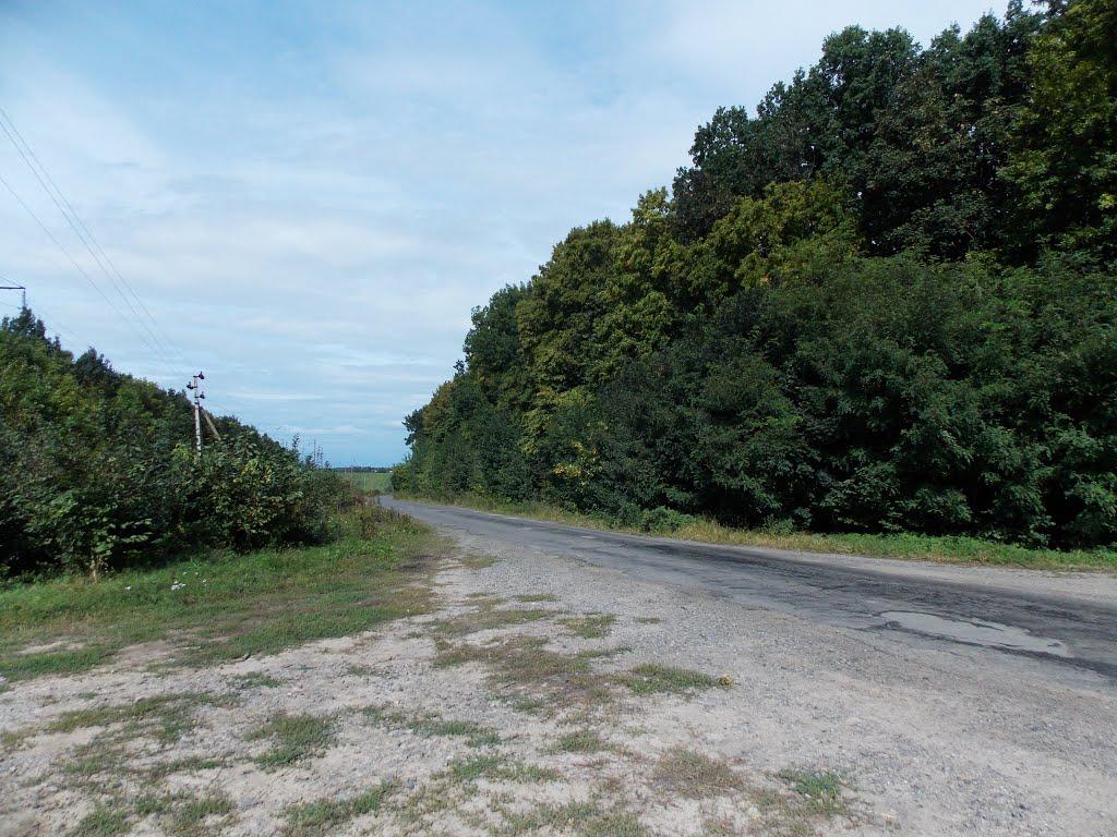 Жерденівка з panoramio.com - Жерденівка