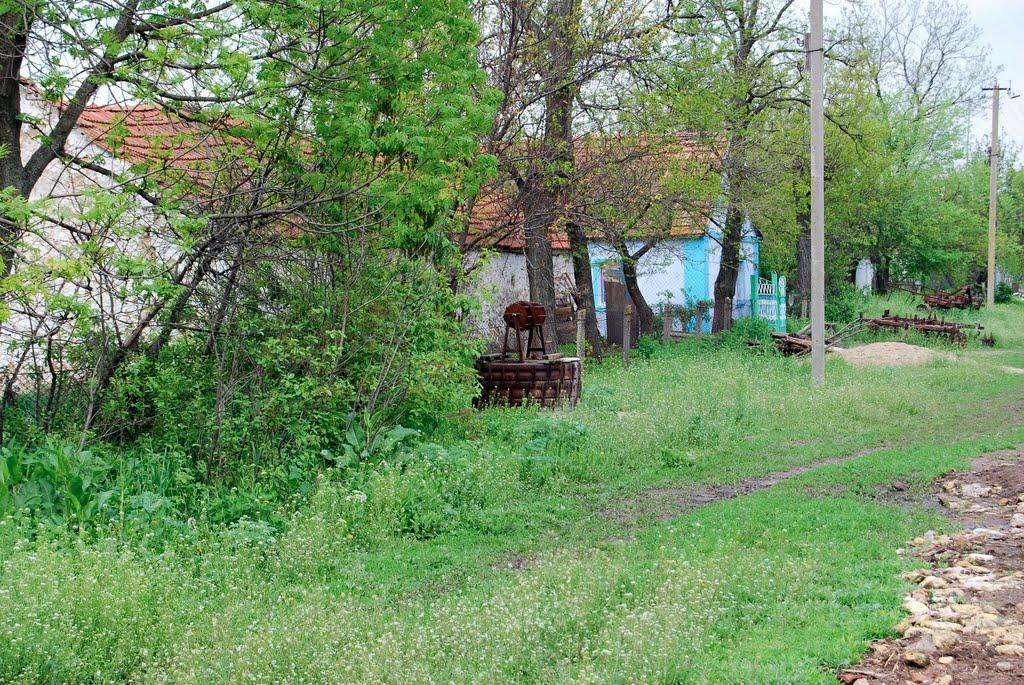 Майорівка з panoramio.com - Mayorivka