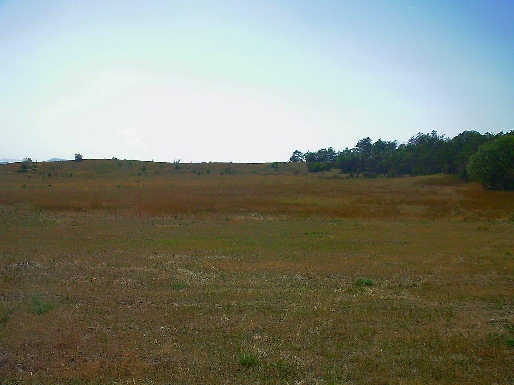 Новопавлівка з panoramio.com