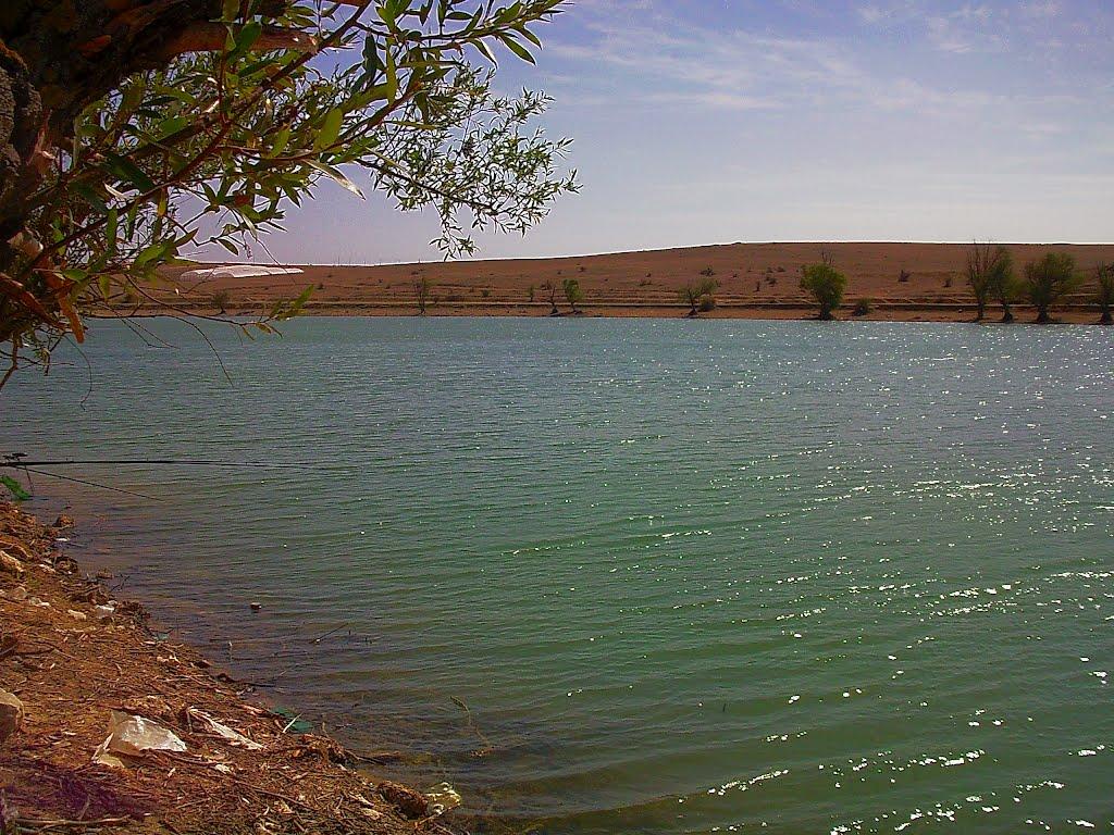 Кочергіне з panoramio.com - Кочергино