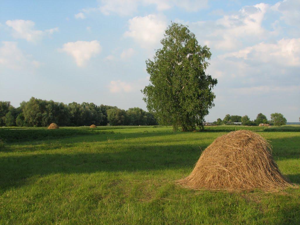 Куковичі з panoramio.com - Куковичі