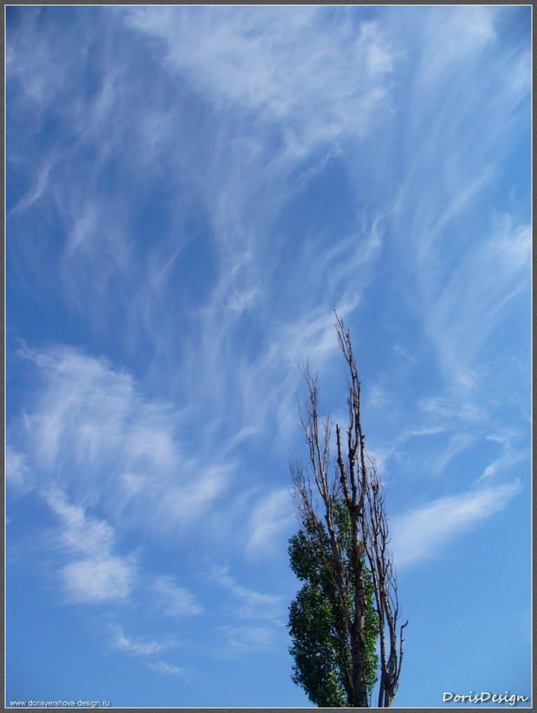 Алчевськ з panoramio.com (ч.2) - Алчевск