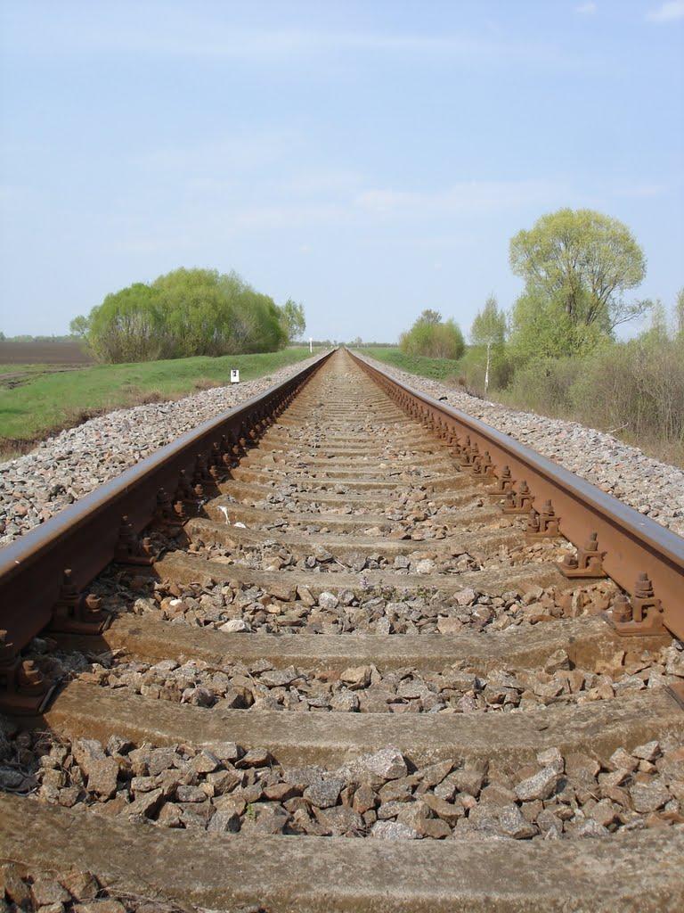 Вишнівське з panoramio.com - Вишнівське