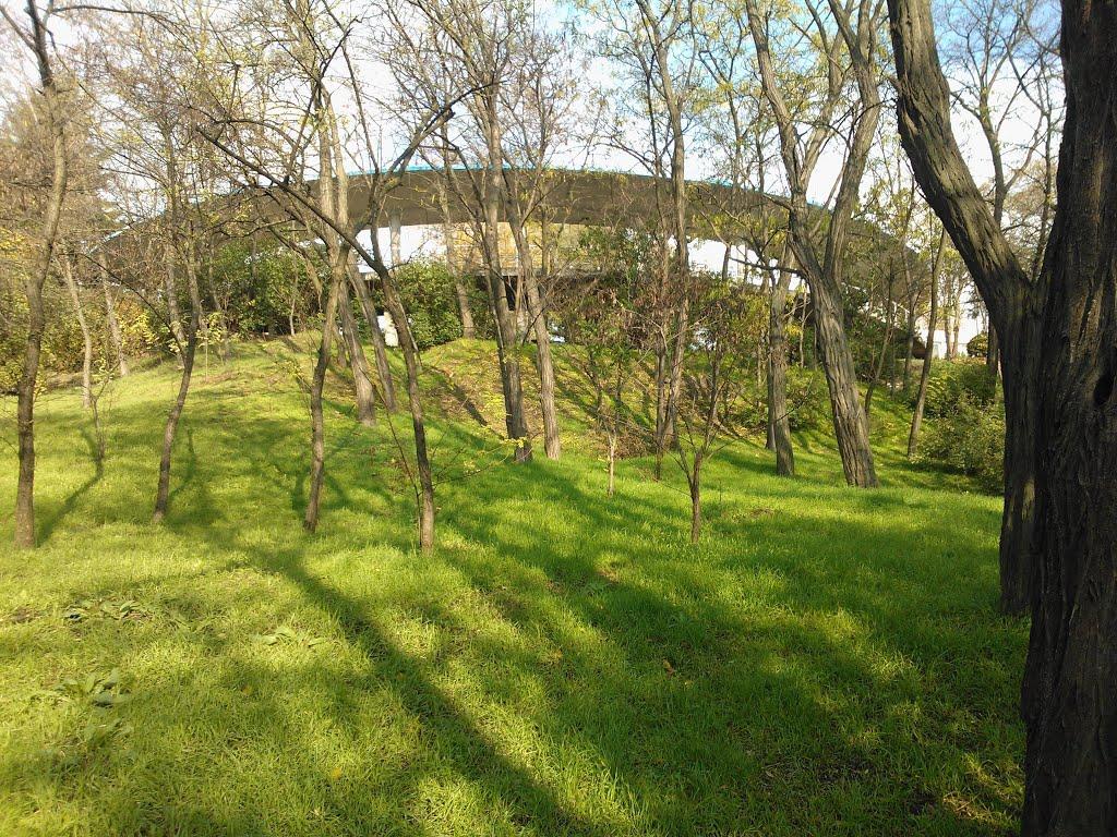 Корсунці з panoramio.com - Корсунцы