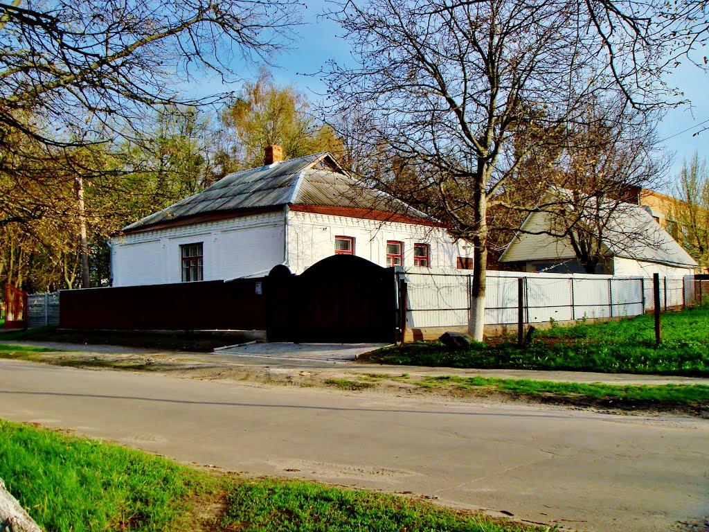 Гудзівка з panoramio.com - Гудзівка