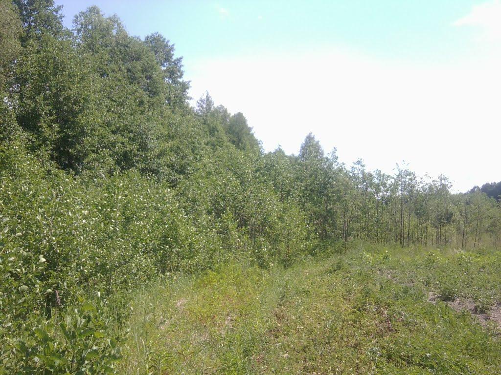 Шостка з panoramio.com - Шостка