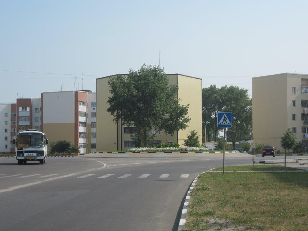 Плетенівка з panoramio.com - Pletenivka