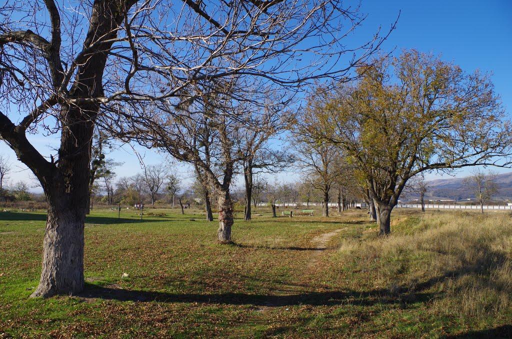 Перевальне з panoramio.com - Перевальное