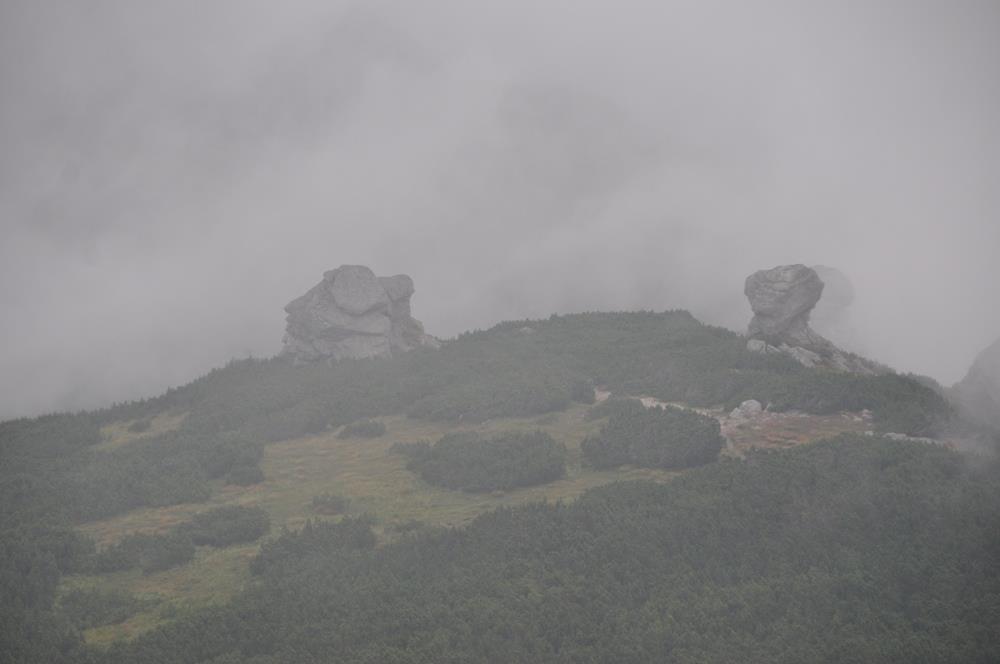 Берестечко з panoramio.com (ч.2) - Берестечко