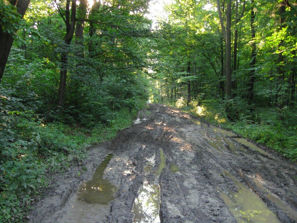 Жерденівка з panoramio.com - Жерденівка