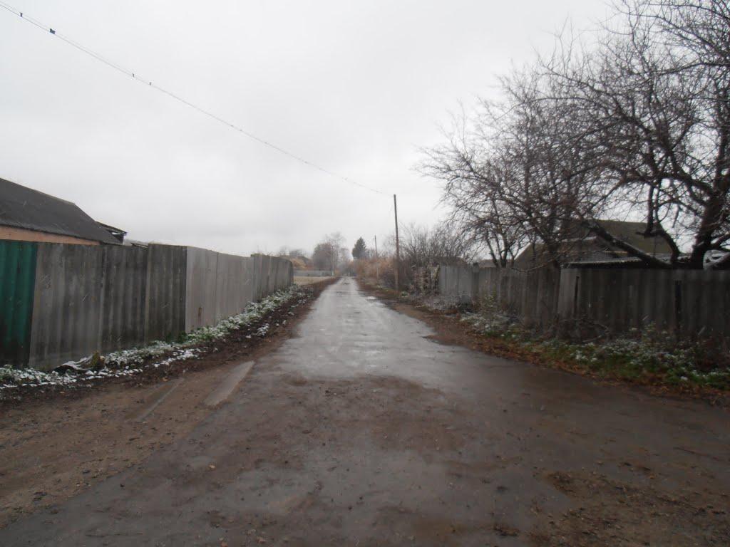 Черемушна з panoramio.com - Черемушна