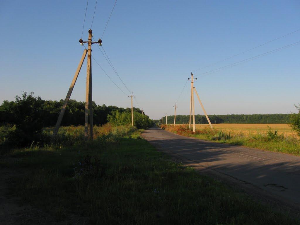 Ладижинські Хутори з panoramio.com - Ладижинські Хутори