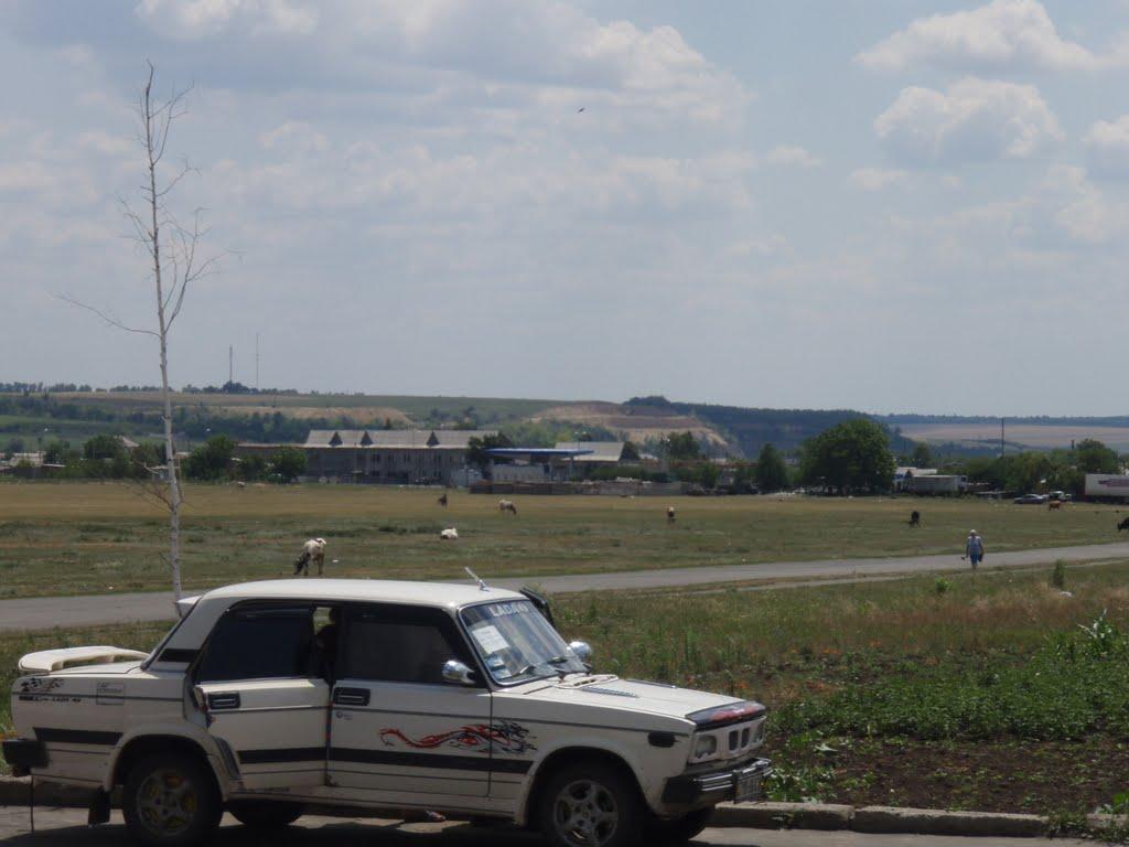 Солгутове з panoramio.com - Солгутове