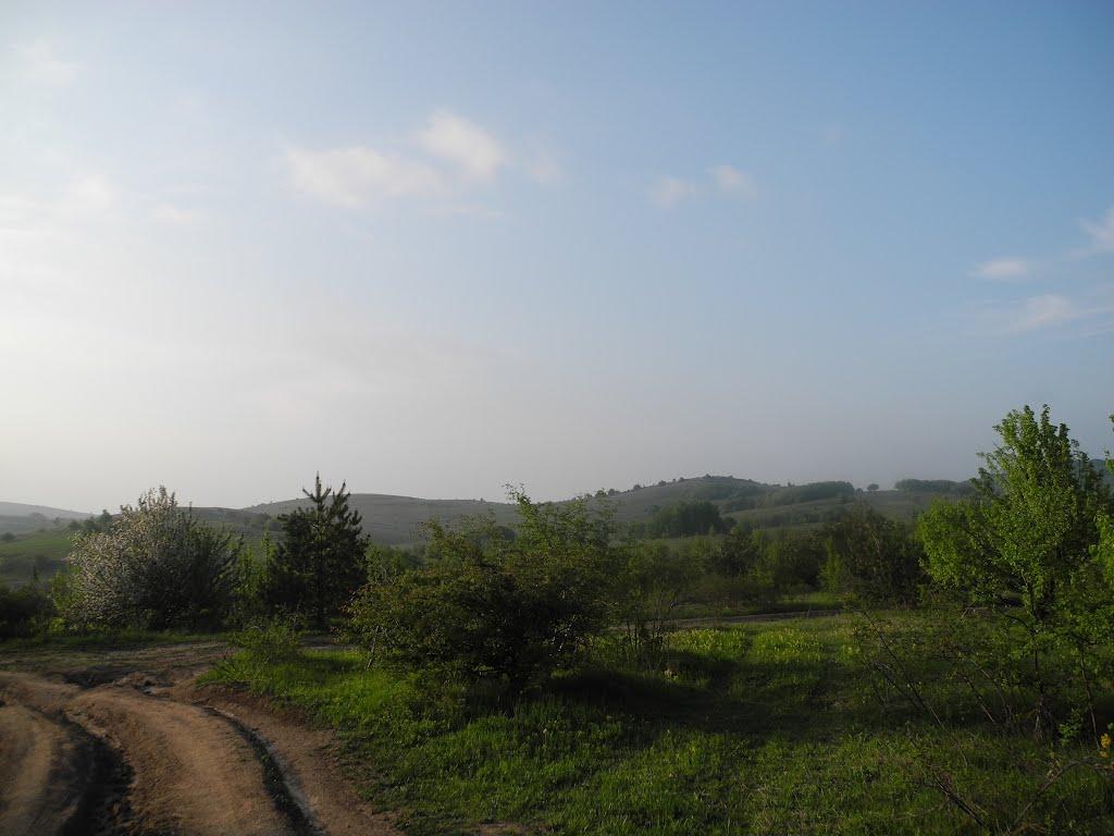 Чайковське з panoramio.com (ч.2) - Чайковское