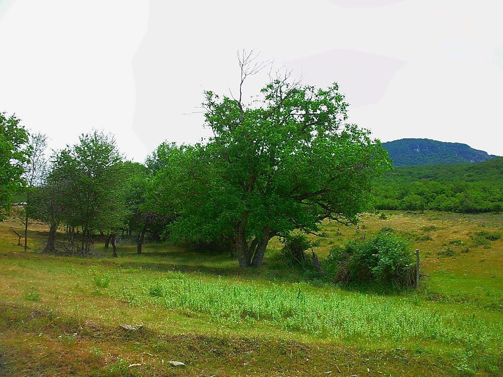 Нагірне з panoramio.com - Нагорное