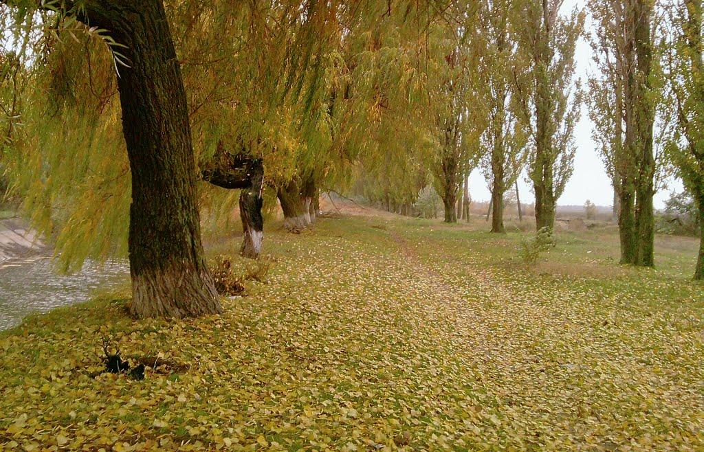 Чернишове з panoramio.com - Чернишове