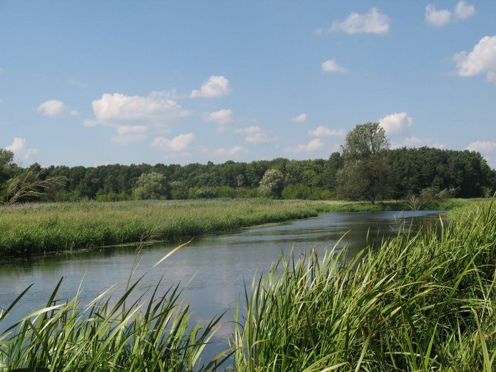 Вербень з panoramio.com - Вербень