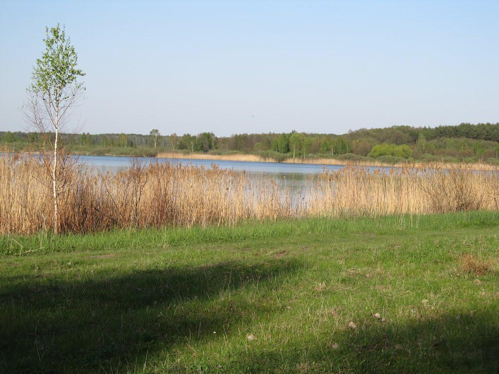 Бегета з panoramio.com - Бегета