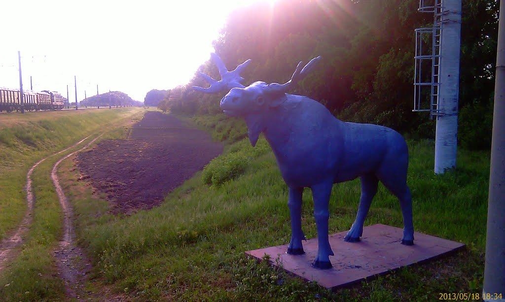 Вищий Булатець з panoramio.com - Вищий Булатець