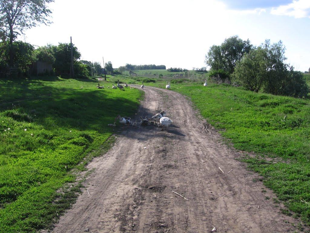 Малушине з panoramio.com - Малушино