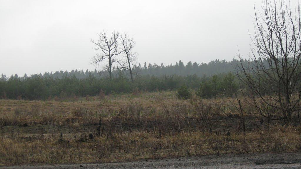 Дубіївка з panoramio.com - Дубіївка