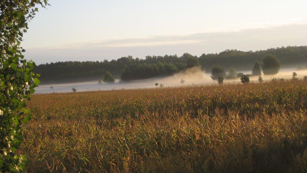 Забілівщина з panoramio.com - Забеловщина