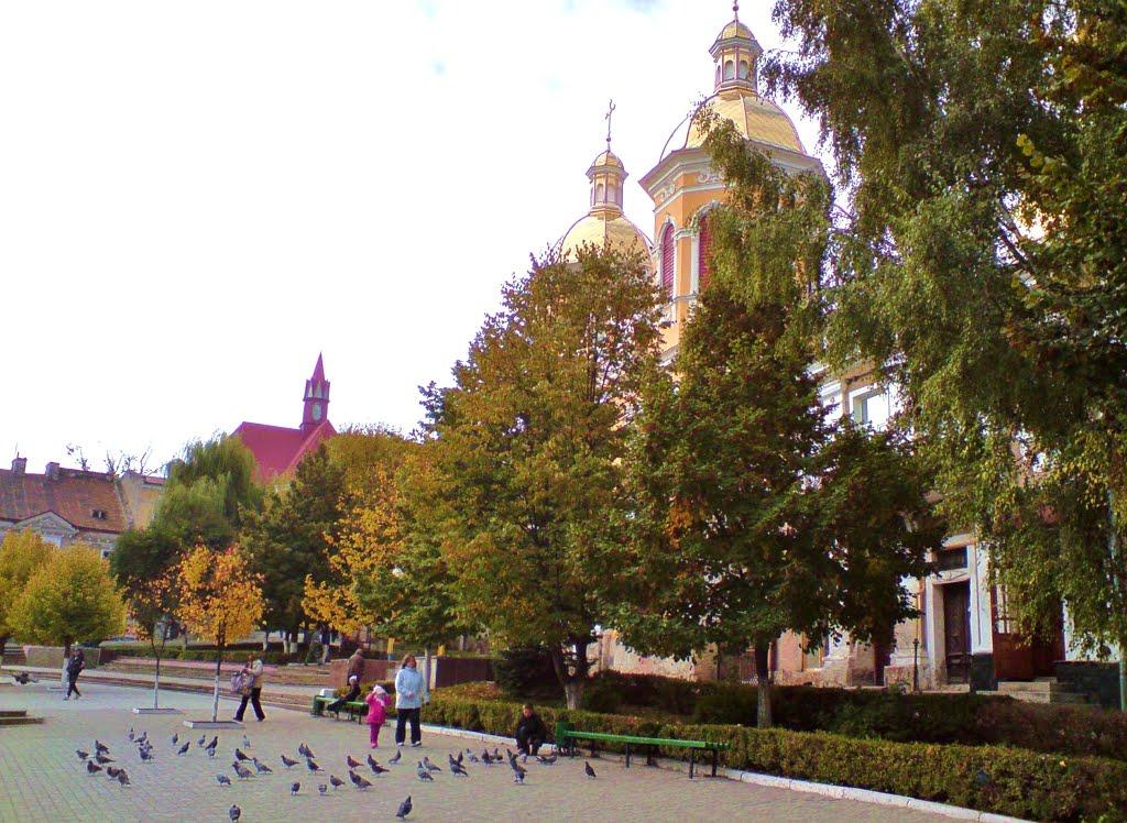 Бережани з panoramio.com - Бережаны